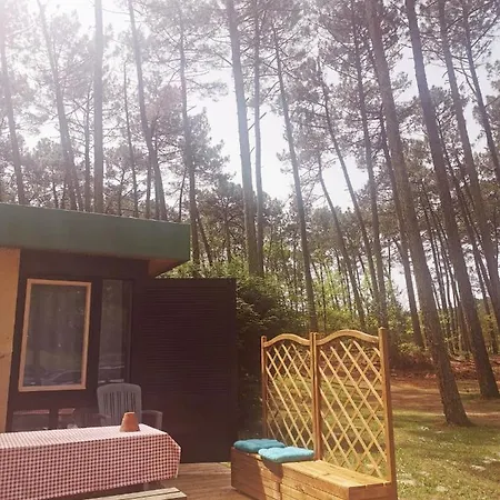 Сasa de vacaciones Les Villages Sous Les Pins, Piscines Chauffées, Les Arbousiers Léon