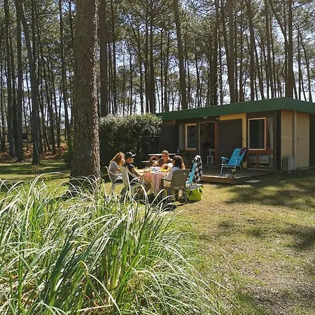 Ferienhaus Les Villages Sous Les Pins, Piscines Chauffees, Les Arbousiers