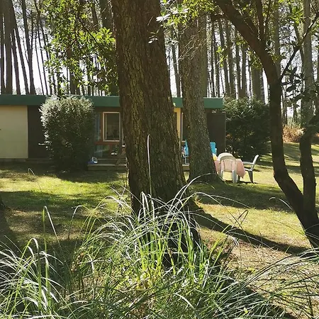 Ferienhaus Les Villages Sous Les Pins, Piscines Chauffees, Les Arbousiers *