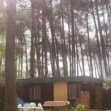 Les Villages Sous Les Pins, Piscines Chauffees, Les Arbousiers Ferienhaus Léon