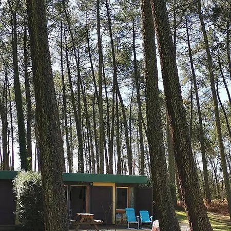 Les Villages Sous Les Pins, Piscines Chauffées, Les Arbousiers * Léon